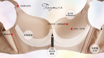 胸部下垂穿调整型内衣有用吗